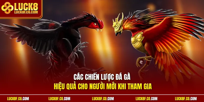 Các chiến lược đá gà hiệu quả cho người mới khi tham gia