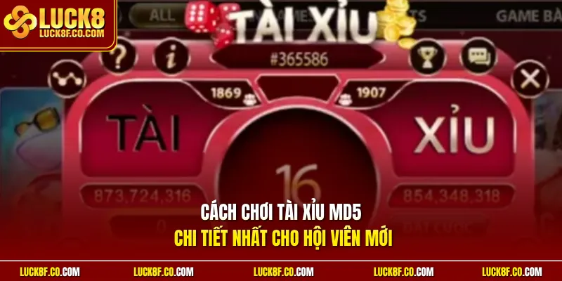 Cách chơi tài xỉu MD5 chi tiết nhất cho hội viên mới