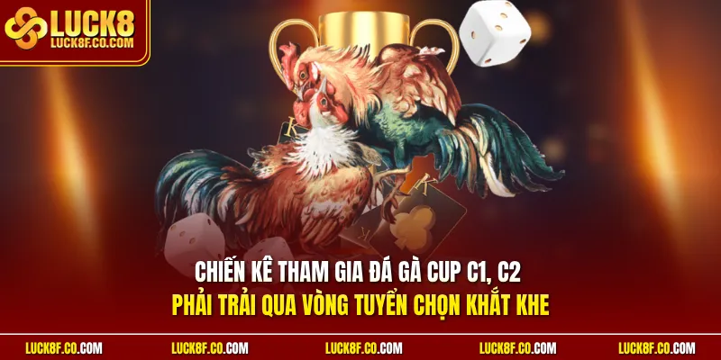 Chiến kê tham gia đá gà Cup C1 C2 phải trải qua vòng tuyển chọn khắt khe