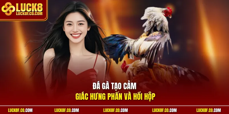 Đá gà tạo cảm giác hưng phấn và hồi hộp