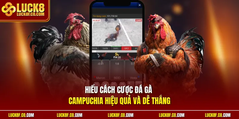 Hiểu cách cược đá gà campuchia hiệu quả và dễ thắng