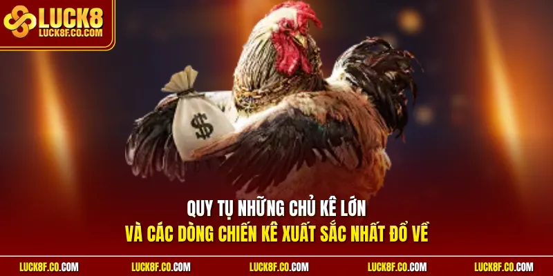 Quy tụ những chủ kê lớn và các dòng chiến kê xuất sắc nhất đổ về